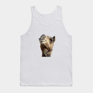 Moroccan dromedary camel Tank Top